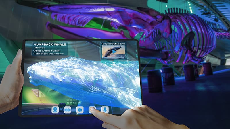 XRのイメージ画像