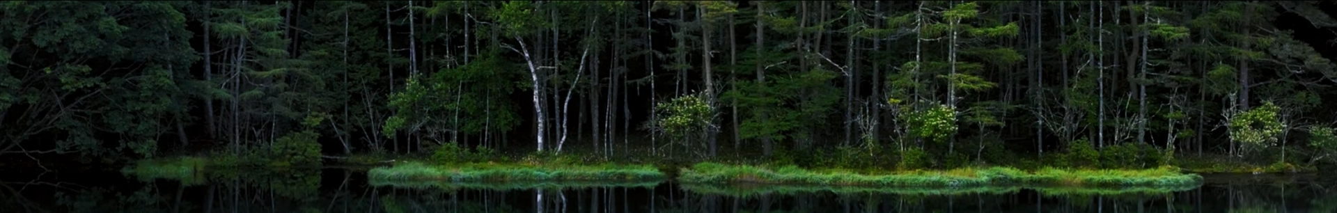 ABOUT-OUR-ULTRA-HIGH-DIFINITIONのタイトル背景画像