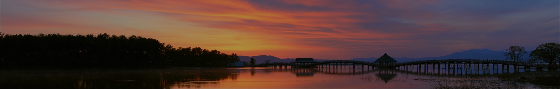 WHAT-IS-8Kのタイトル背景画像